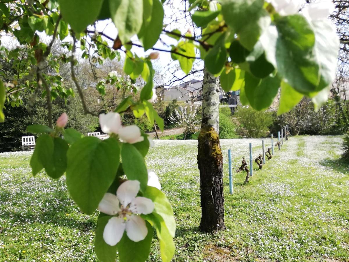 La Verrerie Gaillac Exteriör bild